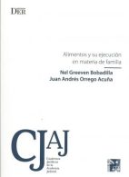 Alimentos y su Ejecución en Materia de Familia