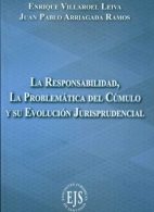 La Responsabilidad, La Problemática del Cúmulo y su Evolución Jurisprudencial