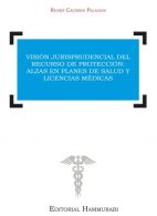 Visión Jurisprudencial del Recurso de Protección: Alzas en Planes de Salud y Licencias Médicas