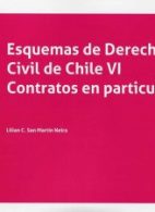 Esquemas de Derecho Civil de Chile VI: Contratos en Particular