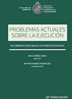 Problemas Actuales sobre la Ejecución