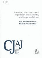 Tribunal de Juicio Oral en lo Penal: Organización, Funcionamiento y Principales Procedimientos