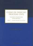 Curso de Derecho Procesal Civil, La Acción y la Protección de los Derechos tomo I