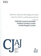 Derecho Colectivo del Trabajo en Chile, Aspectos Prácticos y Análisis Jurisprudencial