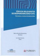 Tópicos Relevantes de Responsabilidad Civil, Elementos y Nociones Fundamentales