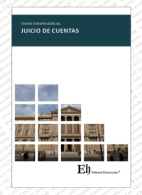 Visión Jurisprudencial, Juicio de Cuentas