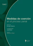 Medidas de Coerción en el Proceso Penal, Tomo 2