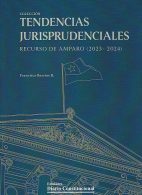 Tendencias Jurisprudenciales, Recurso de Amparo (2023 - 2024)