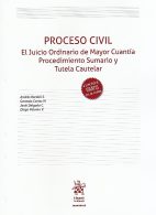Proceso Civil. El Juicio Ordinario de Mayor Cuantía, Procedimiento Sumario y Tutela Cautelar
